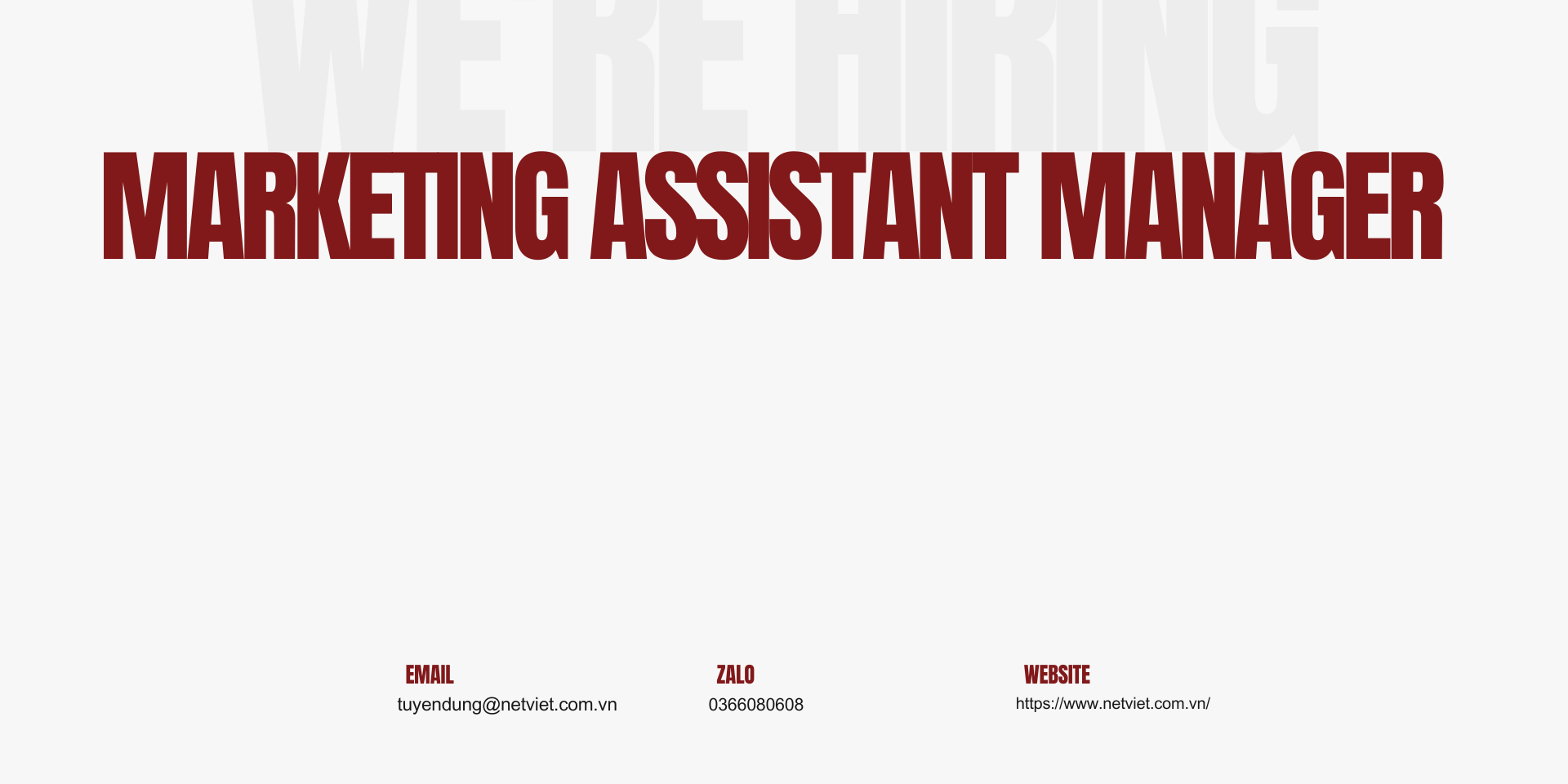 Tuyển dụng Marketing Assistant Manager Việc làm TPHCM